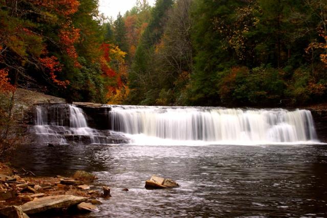 DuPont State Forest